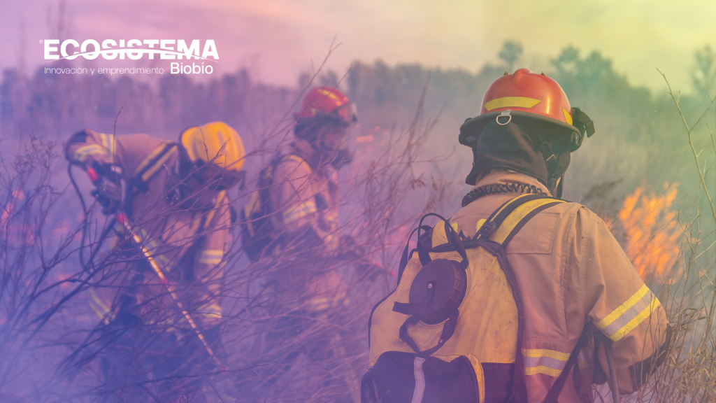 Ecosistema Biobío articula red de ayuda y despliega plan de reactivación para emprendedores afectados por megaincendios