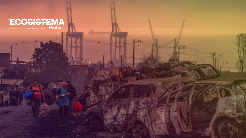 Voces del Ecosistema: Las acciones durante y posterior a la emergencia de los incendios forestales